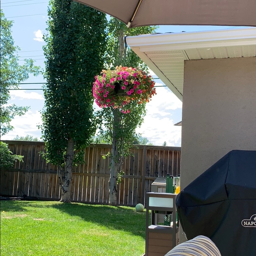 Meet your Posher, Tricia